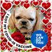Debra Allgood - Facebook