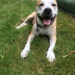 Deb Alsup - @debalsup - Instagram
