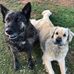 Debbie Alsup - Facebook