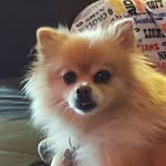 Debra Amen - @debiamen - Instagram