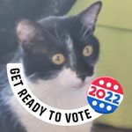 Debra Amy - @debra.amy - Instagram