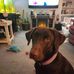 Debra Anderson - Facebook