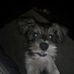Deborah Anding - Facebook