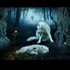 Debra Andrew 69 - @2lipsflapping_woman - TikTok