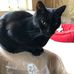 Debra Andrews - Facebook