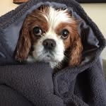 Debra Collins Andrews - @debraandrews8694 - Instagram