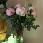 Debra Andrews - Facebook