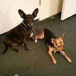 Debra Angle - @debraangle - Instagram