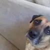 debraangus - @debraangus - TikTok