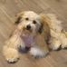 Debra Ann - Facebook