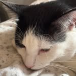 Debra Ann Rivers - @debraannrivers - Instagram