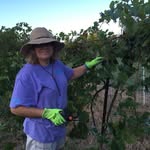 Debra Anton - @danton5752018 - Instagram