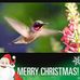 Debra Apodaca - Facebook