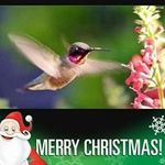Debra Apodaca - @debra.apodaca.71 - Instagram