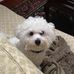 Debbie Apple - Facebook