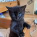 Debbie Appleby - Facebook
