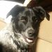 Debra Appleby - Facebook