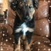 Debbie Archambault - Facebook