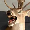 archibeque71893 - @archibeque71893 - TikTok