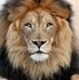 Debra Almand - Facebook