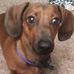 Deborah Armfield - Facebook