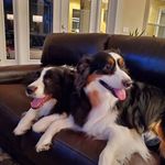 Debra Arnett - @arnett.debra - Instagram