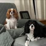 Debra Arthur Luther - @debbieluther966 - Instagram