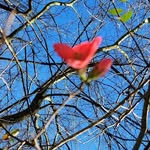 Debra Avery Arvin - @arvin.debra - Instagram