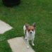 Debbie Ash - Facebook