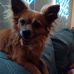 Debbie Ashburn - Facebook