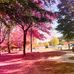 Debra Ashburn - Facebook
