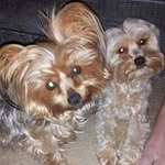 Debra Washburn - @debrawashburn - Instagram