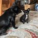 Deborah Ashcraft - Facebook