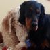 Deb Ashlock - Facebook