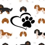 Debbie Asquith - Facebook