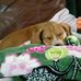 Debra Atchison - Facebook