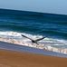 Debbie Auerbach - Facebook