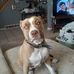 Deborah Auger - Facebook
