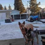 Debra Auger - Facebook