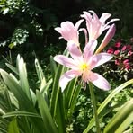 Debra Avant - Facebook