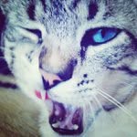 Debra Avent - @audrosis - Instagram