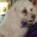 Debra Ayers Livingston - @debbie.livingston.528 - Instagram