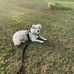 Debra Babb - Facebook