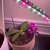 debrababb - @debrababb - TikTok