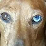 Debra Baca - @deb_b_booboo - Instagram