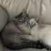 Debbie Fishleigh Bacon - Facebook