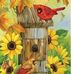 Debbie Baggett - Facebook