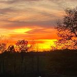 Deborah Baggett - @baggettdeborah - Instagram