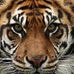 Deb Bainbridge - Facebook