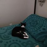 Debra Baird - @debra.baird.9400 - Instagram